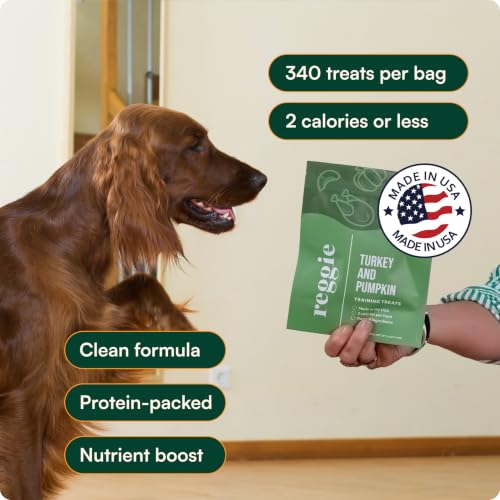 Reggie Dog Training Treats with Enrichment Toy | Turkey & Pumpkin Dog Treats + Forager Ball | Low-Calorie High-Protein Rewards | Mental Stimulation for Dogs | 340 Treats - size: Forager Ball - Turkey & Pumpkin