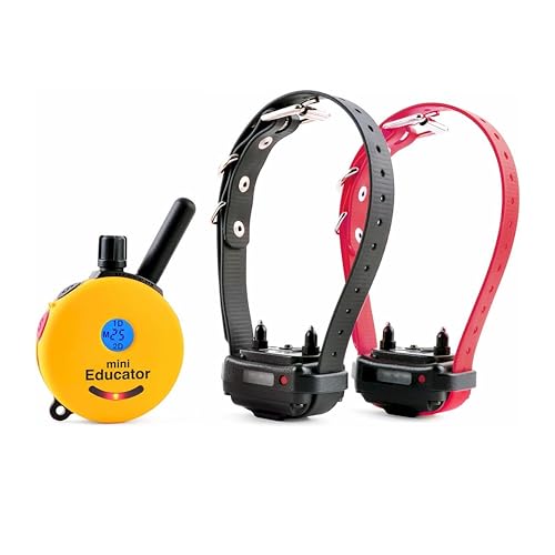 E-Collar Mini Educator ET-302 Remote Dog Training Collar, Yellow - color: Yellow, size: 2 Dog