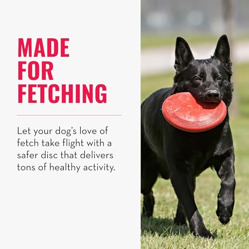 KONG Flyer, Natural Rubber Flying Disc, for Small Dogs (Pack of 2) - size: Small(2-Pack)