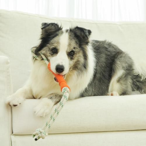 Green Sheep Tug & Enrichment Dog Toy, Interactive Rope Bone Toy with Removable Cotton Rope, Treat Dispensing Natural Rubber Dental Chew Toy for Medium and Large Dogs, Orange - color: Orange Bone With Rope
