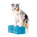 Blue-9 Propel Dog Training Platform, Balance, Stability, Turquoise, 2-Pack - color: Turquoise