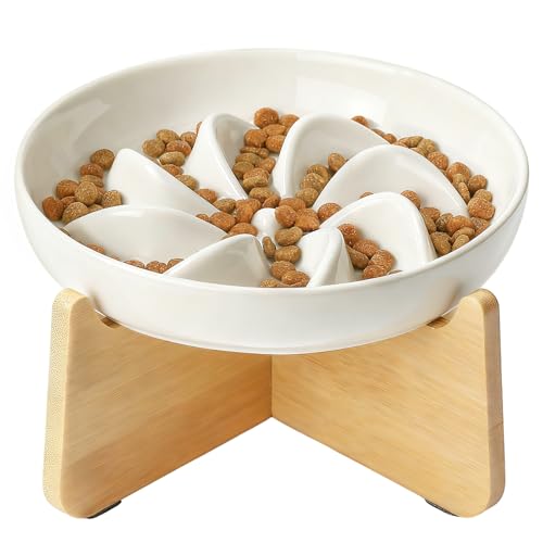PETTOM Slow Feeder Cat Bowl Elevated Ceramic with Bamboo Stand, Lotus - color: Lotus