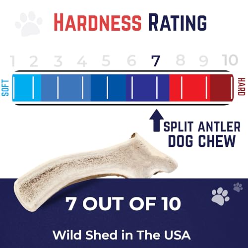 Devil Dog Pet Co Split Elk Antlers for Dogs, XL, Long Lasting - style: split - XL - 1 Pack