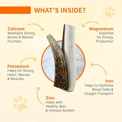 Tibetan Elk Antler for Jumbo Dogs, Grade-A, Premium Chews, Naturally shed Healthy & Longer Lasting Aggressive chewers, USA Product Antler (Split) - style: Split - Jumbo - 1 Pack
