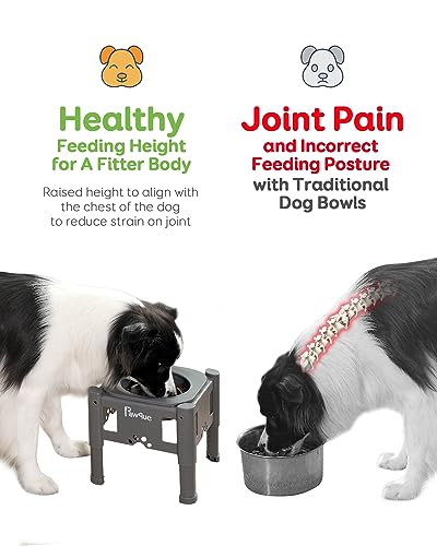 Pawque 35oz Elevated Slow Feeder Dog Food Bowls with Adjustable Stand - color: Grey