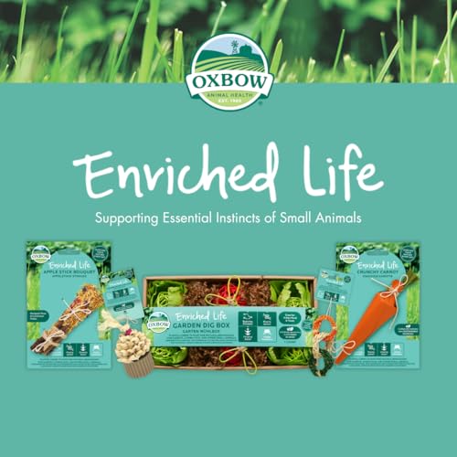 Oxbow Enriched Life Hide Box Hanger - Small animal enrichment toy - style: Hide Box Hanger