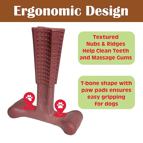 SPOT Bam-Bones Plus T-Bone Dog Chew, Beef, 7in, 60-90 lb Heavy Chewers - size: Large