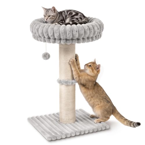 Avont Modern Cloud Cat Scratching Post with Perch for Indoor Adult Cats - color: Lightgrey