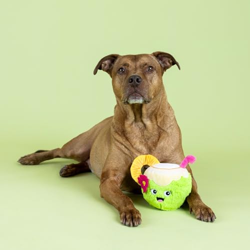 Fringe Studio COC-Nuts About You Plush Dog Toy, Pet Shop Collection (314366) - color: Coc-Nuts About You