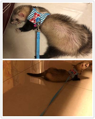 Litewoo Small Animal Harness Leash Set for Guinea Pig (Medium,Blue Stripe) - color: Blue Stripe, size: Medium