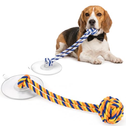 Dog Rope Toy with Suction Cup Interactive Tug of War Toy 2Pcs - size: suction cup