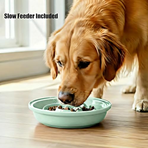 Elevated Dog Bowl Stand with 3 Large Ceramic Bowls – Raised Feeding Station for Medium & Large Dogs, Includes 2 Standard Bowls + 1 Slow Feeder, Durable Iron Frame, Non-Slip (Lucite Green) - color: Lucite Green