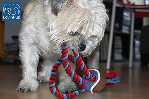 Dog Rope Toy with Tennis Ball (11”) – 1-Pack Blue - size: 1 Rope Dog Toy Blue Ball FBA