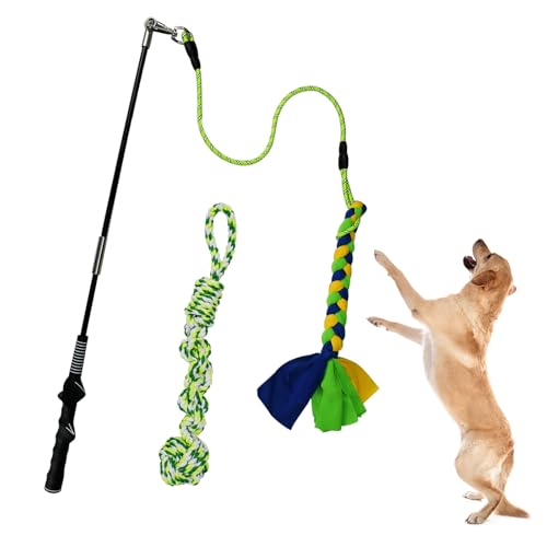 Flirt Pole for Dogs Heavy Duty, Interactive Chase & Tug of War Wand - color: green