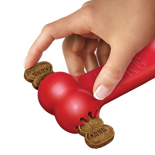 KONG Goodie Bone, Natural Rubber Treat-Dispensing Toy, Red, for Small Dogs - size: Small (Pack of 1)