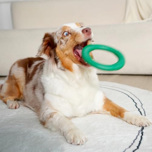 Green Sheep Natural Rubber Ring Dog Chew Toy, Durable Chew Toys for Small to Large Dogs, Tough Dog Toys for Medium & Big Dogs, Puppy Teething Toys - color: Green Ring