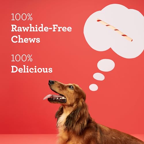 DreamBone Twist Sticks Rawhide-Free Dog Treats With Real Protein, 50 Count - size: 9.7 Ounce (Pack of 1)