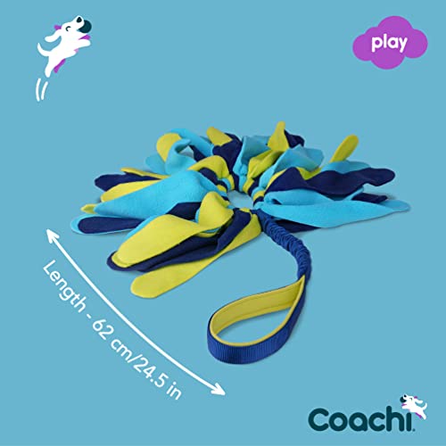 Coachi Tuggi Spider - Interactive Dog Toy for Tug of War & Play - style: Tuggi Spider