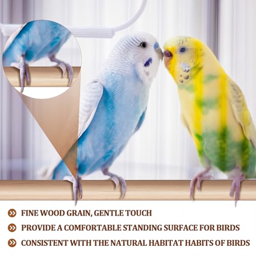 Sintuff Bird Perches Natural Wood Double Slots, 15 Inches, 8 Pcs - size: 15 Inches