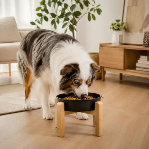 Elevated Ceramic Slow Feeder Dog Bowls Anti-Choking Slow Feeding for Medium& Large Anti-Slip Non-Lead & Toxic Durable Easy to Clean Maze Slow Feeder Bowl（8.66in Black Flower Pattern） - color: Black Flower Pattern, size: 3.6Cup