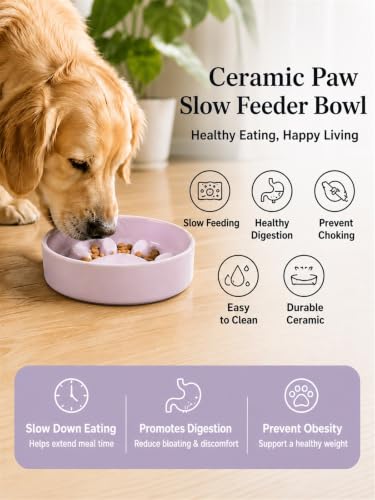 Ceramic Slow Feeder Cat Bowl Paw Small Pet Dogs 2 Cups Food Dish - color: Ivory