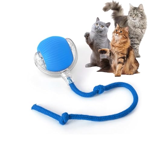 Rocfish Durable Interactive Cat Toys for Indoor Cats (blue01, 01) - color: blue01, size: 01