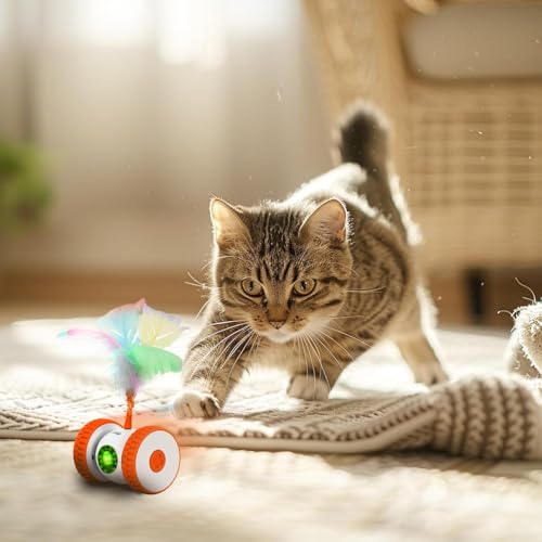 Cat Toys Cat Remote Control Toy, APP Bluetooth Connect Remote Control Cat Toys for Indoor Cats Electronic Automatic Moving Mouse Cat Toy with 6 Lights USB Rechargeable (Orange)