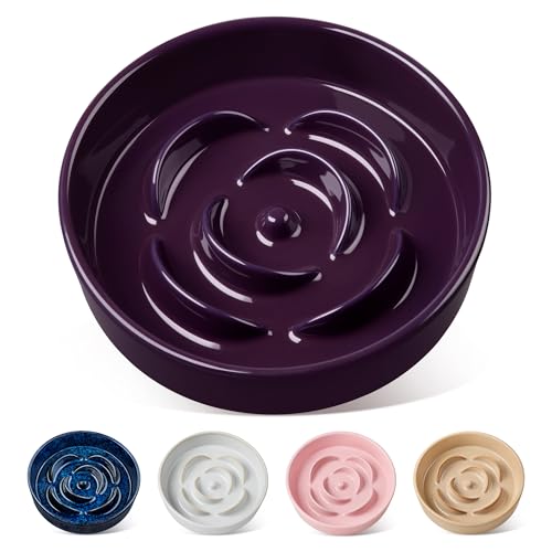 vancasso Slow Feeder Dog Bowl, 1.5 Cup Ceramic Medium Puzzle Dog Food Dish - color: Dark Purple, size: M - 1.5 Cups