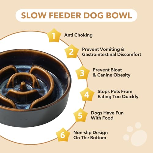 Havniva Raised Slow Feeder Dog Bowls, Elevated Dog Bowls Slow Feeder Set - color: 2 x Starry Sky + Stand - A, size: S- 6.1inch / 0.9 Cups