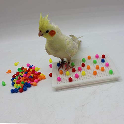 QBLEEV Parrot Puzzle Toys for Parakeets, Cockatiel & Conure - Bird Intelligence Training & Foraging Toys - color: Building Blocks Toy