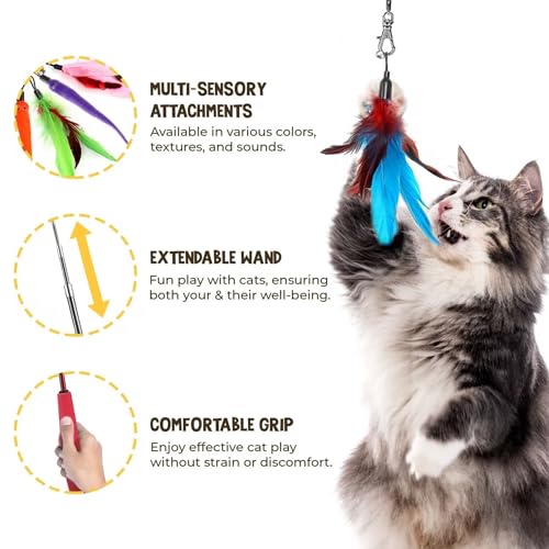 Vila Cat Feather Teaser Wand, Interactive Training and Exercise Wand Wonder, for Kittens and Adult Felines, Suits All Breeds and Sizes, 2 Retractable Poles, Worm Attachments and Strings