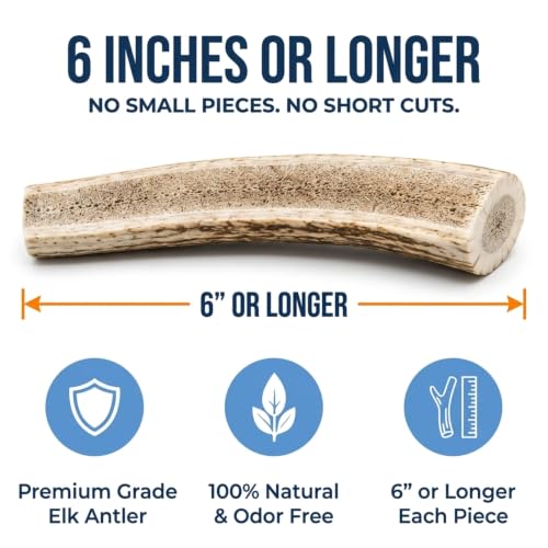 K9warehouse Mixed Elk Antlers for Dogs, Split & Whole, Large 7 Pack, 1.5lbs