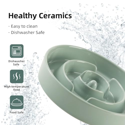 Havniva Ceramic Slow Feeder Dog Bowls, 7.3 in Slow Feeder for Small Breed - color: Light Green