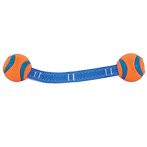 Chuckit! Ultra Duo Tug Toy, Small Indoor and Outdoor for Dogs 0-20 Pounds - size: Small, style: Ultra Duo Tug