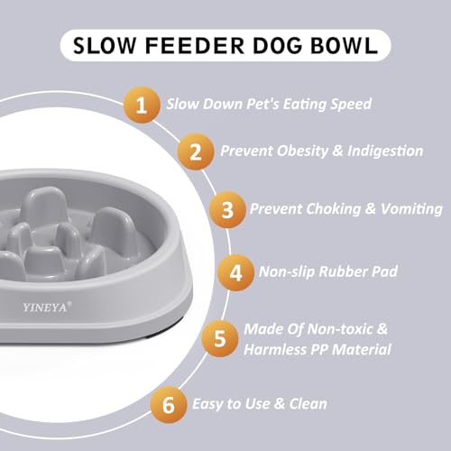 YINEYA 2PCS Anti-Choking Slow Feeder Dog Bowls Small Size Dog, Slow Feeder Cat Bowl, Supplies and Puzzle for Pet - color: B - Gray & Black, size: Small