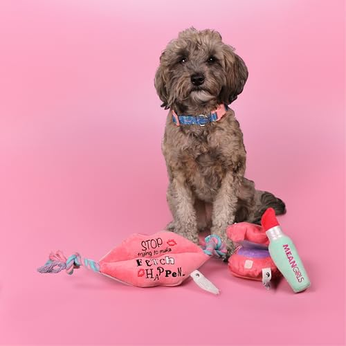 Mean Girls, Interactive Toy Bundle for Dogs, Squeaky Makeup Kit Dog Toy Set - style: Makeup Set