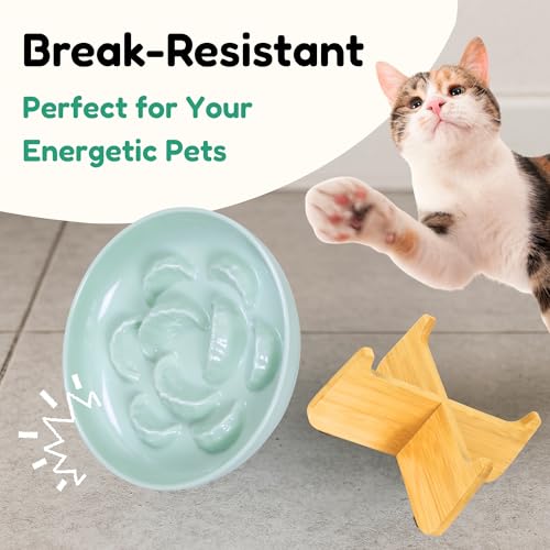 Slow Feeder Cat Bowl with Stand - Unbreakable Elevated Slow Feeder Bowl for Cats - Melamine Puzzle Raised Cat Food Bowl - Whisker Friendly & Wet & Dry Food- Dishwasher Safe & Non Slip (Green - color: Green