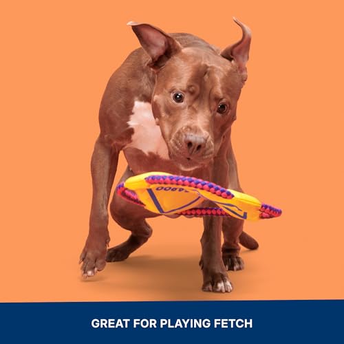 BarkBox Kangaroo Tossing Flying Disc Dog Toy - for Dogs - color: Kangaroo Tossing