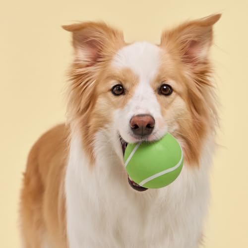 Playology Squeaky Chew Ball Dog Toy - Jumbo, Sweet Potato Scent - size: Jumbo, style: Sweet Potato