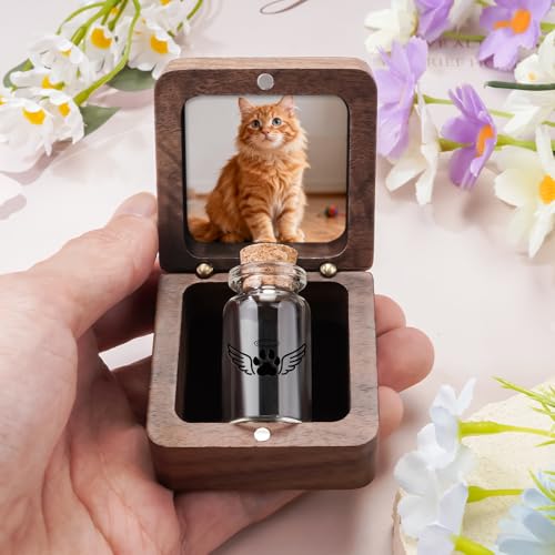 SOITIS Customized Small Pet Urn for Dogs Cats Urn for Pets Ashes Keepsake - color: Custom-Black Paw