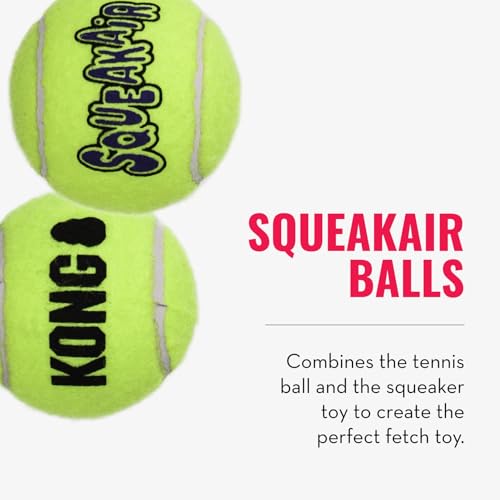 KONG Cozie Ali Alligator and SqueakAir Balls, 3 Pack, for Medium Dogs - size: Medium