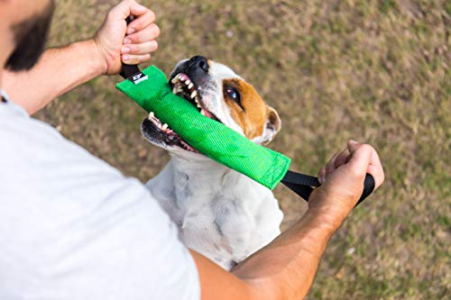 Bull Fit K9 Dog Bite Tug Toy with 2 Strong Handles - Made of Durable & Tear-Resistant French Linen - Perfect for Tug of War, Fetch & Puppy Training - Ideal for Medium to Large Breeds - color: Pink