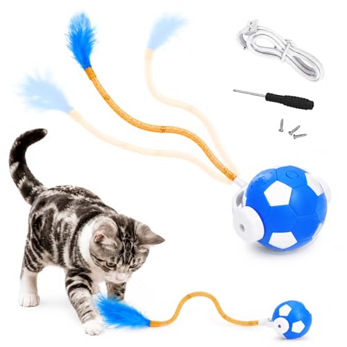 Cat Enrichment Toy, Chase Toy for Bored Indoor Adult Cats - color: C -Blue