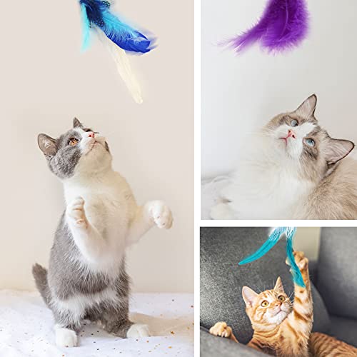 SONGWAY Interactive Cat Feather Toy Set - Retractable Teaser Wand with 6 Pcs Feather Refills with Bell, Cat Wand Toys for Indoor Cats Kittens Play Chase Exercise, Blue - color: Blue