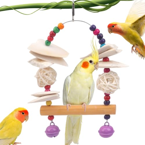 Parrot Cuttlebone Swing Toy – 2-in-1 Hanging Perch with Natural Wood Slices, Rattan Balls & Colorful Beads – Calcium-Rich Chewing Station for Cockatiels, Budgies, Parakeets
