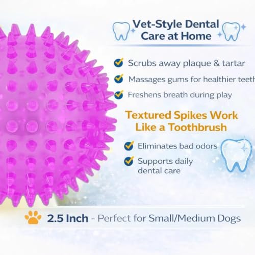 Squeaky Spiky Dog Ball for Teeth Cleaning & Gum Massage 2.5 Inch Small Medium Dogs Purple | Spiny TPR Rubber Chew Toy for Fetch Play Interactive Bouncy Dental Ball Durable BPA Free Nontoxic Floats - size: Purple Ball 1-Pack