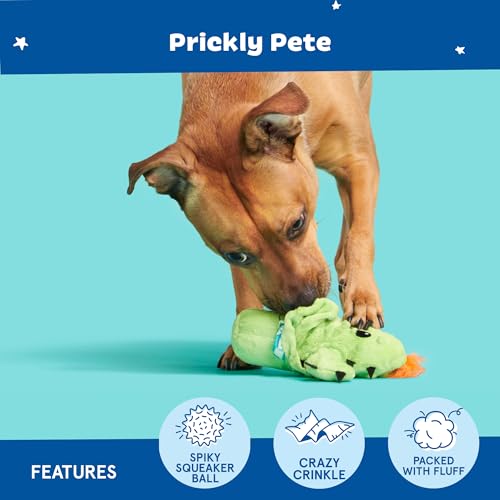 BarkBox 2 in 1 Interactive Plush Dog Toy - Rip and Reveal Toy for Dogs and Puppies - Stimulating Squeaky Pet Toys | Prickly Pete (Small) - color: Prickly Pete