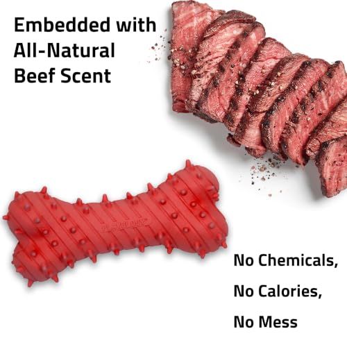 Playology Puppy Teething Bone Dog Chew Toy - Medium, Beef Scent - size: Medium, style: Beef