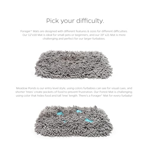 Pet Parents Forager Slow Feeder Dog Bowl & Snuffle Mat - SoftSnout, Non-Slip Backing (Forest 12")
