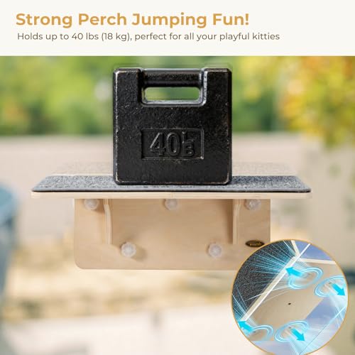 Pecute 2-in-1 Large Cat Window Perch & Wall Shelves, Solid Wood, 21"x11" - size: 21.25"L x 11"W